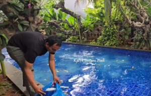 Mengapa Salt Chlorinator Kolam Renang Semakin Populer?